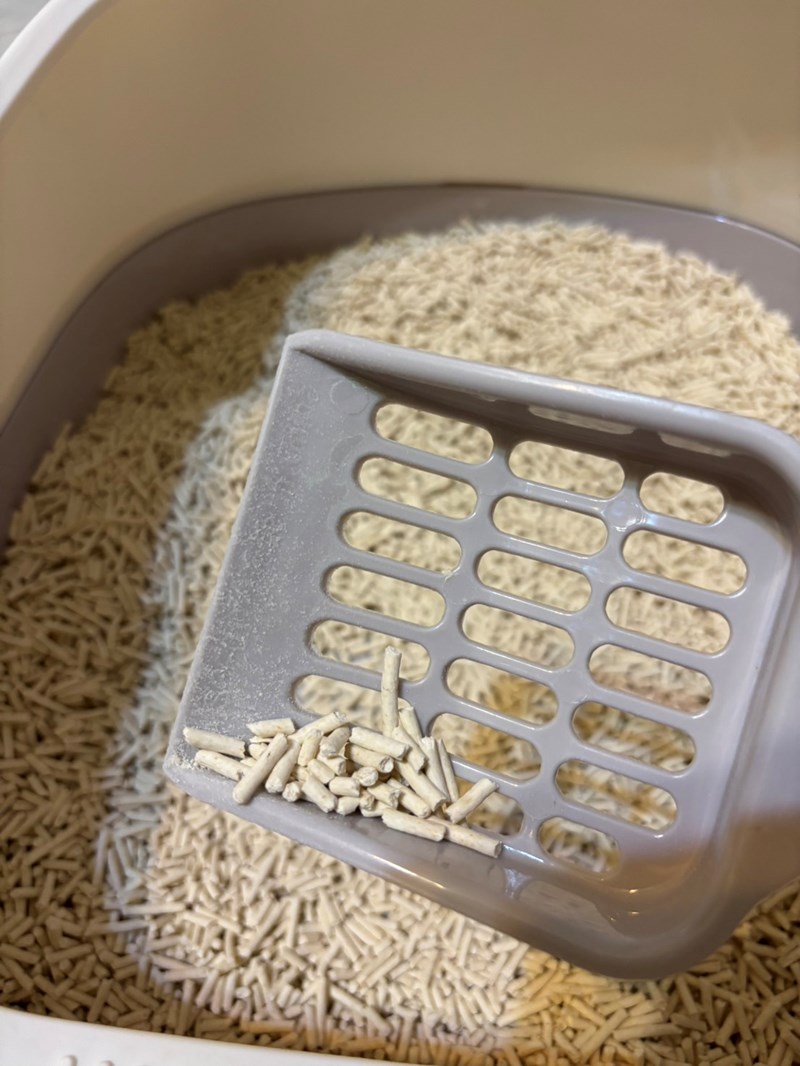 女人知己試用大隊,口碑行銷,部落客行銷,PurreLand 倍淨豆腐貓砂,好市多購買,COSTCO購買,豆腐貓砂,PurreLand倍淨,低粉塵,易清理,可沖馬桶,提供絕佳的除臭與凝結力,豆腐貓砂評價,貓砂評價,使用心得,貓砂分享,好用,原味,綠茶,豆腐砂,水量需完全覆蓋貓砂,水量需貓砂的2~3倍以上,豆腐砂評價,高CP值,划算